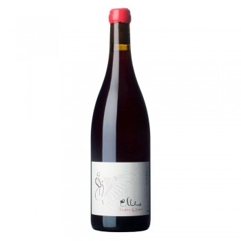 Morgon Jean Foillard Cuvée Elles  2018