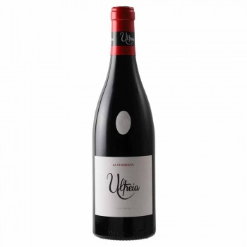 Ultreia La Vitoriana 2022