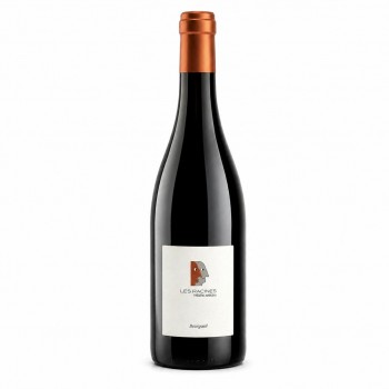 Domaine Frédéric Mabileau Racines