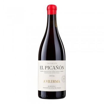 A Vilerma El Picañón 2024
