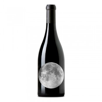Selenita Nit 2023