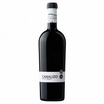 Canalizo Syrah 2004