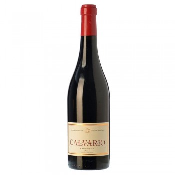 Calvario Magnum 2002