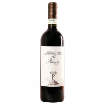Sot Pelassa Nebbiolo D Alba 2022