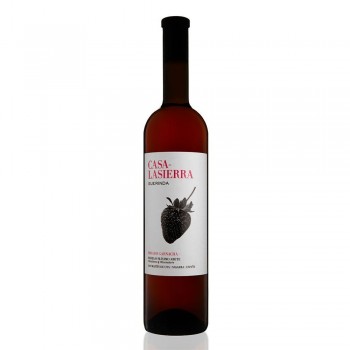 Guerinda Casa-Lasierra Rosado 2025