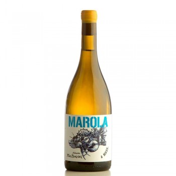 Marola 2022