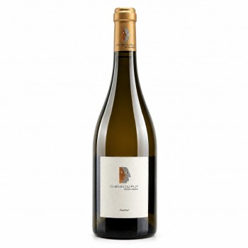 Domaine Frédéric Mabileau Chenin du Puy 2023