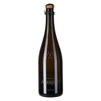 Magnum Agrapart Avize Ameunia VME23 Premier Cru Blanc de Noirs Brut Nature