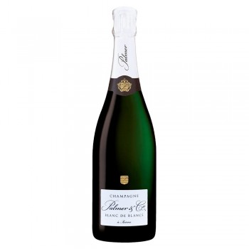 Palmer Brut Blanc De Blancs