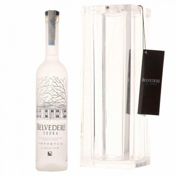 Vodka Belvedere Ice Tower